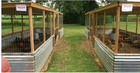 Chicken Cages Poultry Farm House Design Chicken Cages Poultry Farm