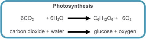 What Is The Chemical Equation For Photosynthesis Label Reactants And