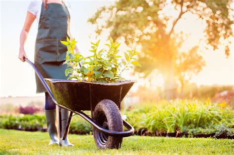 Weitere informationen entnehmen sie der. Mit dem Garten gesund & glücklich | Leben & Gesundheit