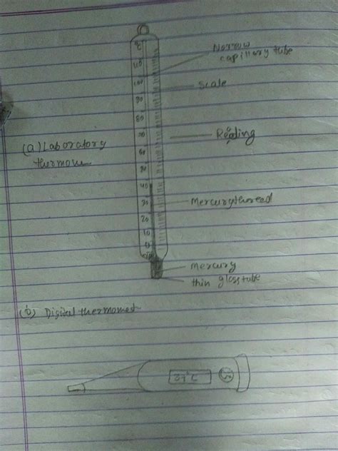This section is called the spherical bulb, and it holds the. draw the diagrams of digital thermometer clinical ...