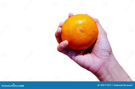 Hand Holding Fresh Orange Isolated On White Background With Clipping