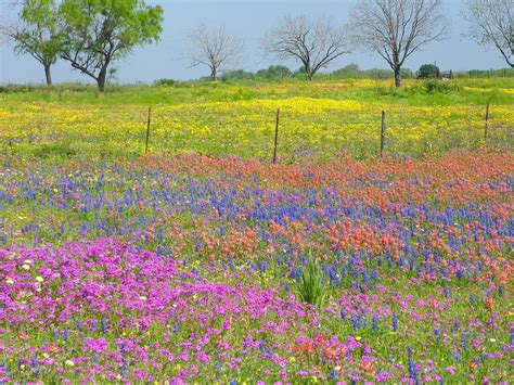 Texas Summer Beautiful Landscape Photography Landscape Art Landscape