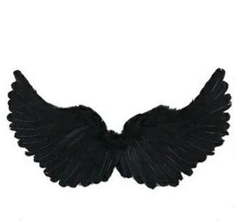 Halloween Angel Wings For Dogs White Or Black Dog Costume Etsy
