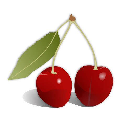 Download Red Cherry Png Image Download Hq Png Image Freepngimg