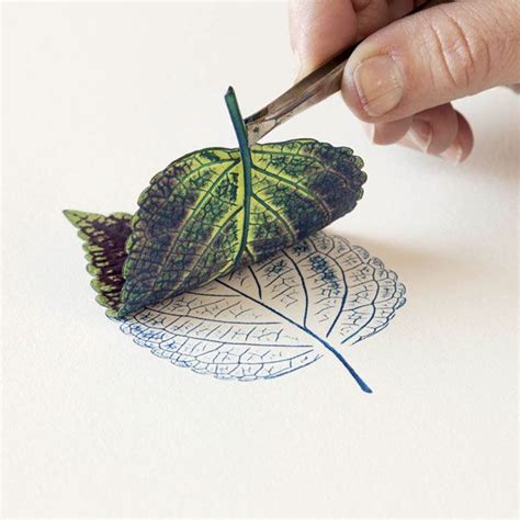 Printing With Leaves And Other Natural Objects Storey Publishing In