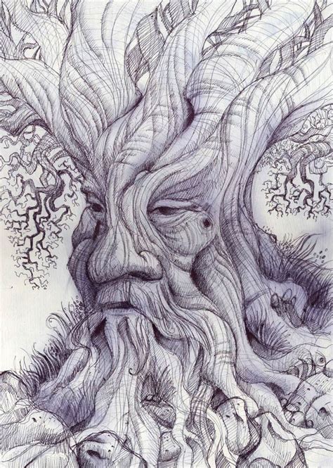 Tree Face Drawing At Getdrawings Free Download