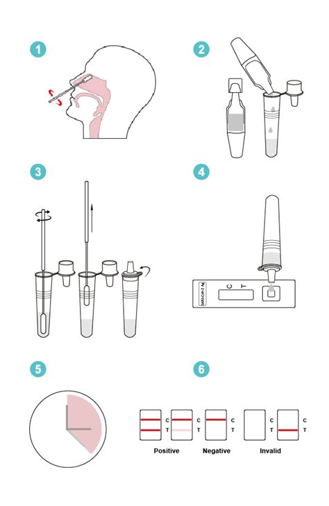 Covid 19 Self Test Rapid Antigen Test Instructions