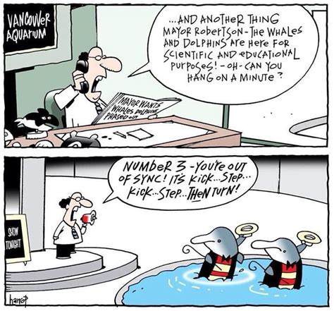 Comic From The Vancouver Sun The Vancouver Aquarium Vs The Mayor Of