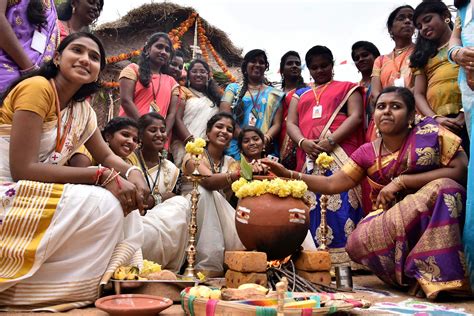 Pongal Celebrations Kicks Off Across Tamil Nadu The New Indian Express