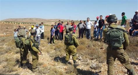 صحيفة دنيا الوطن الاحتلال يمنع المواطنين من الوصول إلى أراضيهم في بلدة الخضر