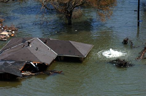 Crisis Management Lessons Ten Years After Hurricane Katrina Logos