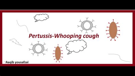 Pertussis Whooping Cough Signs Symptoms Treatment Prevention