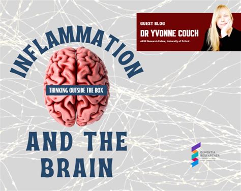 Dr Yvonne Couch Inflammation And The Brain