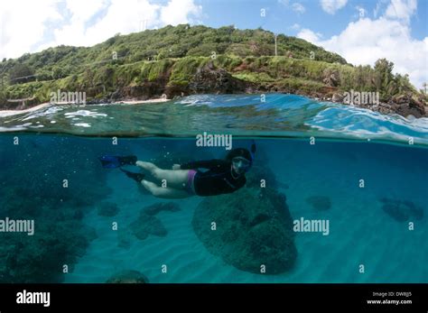 Woman Snorkeling In Waimea Bay North Shore Of Oahu Hawaii Usa Stock