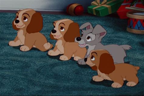 Did You Expect Lady And Tramp To Have Puppies Poll