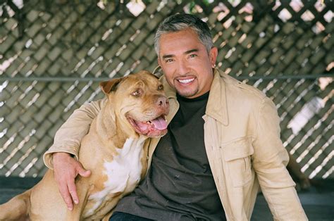 Cesar millan became a sensation when his show, dog whisperer, debuted in 2004, and even the man's harshest critics would have to admit to his natural talent when it comes to training canines. Classify Cesar Millan the dog whisperer