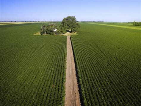 Não Pode Ser Indicada Como Característica Básica Da Agricultura Moderna