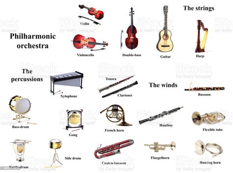 Instructional Poster Philharmonic Orchestra Instruments Isolated On