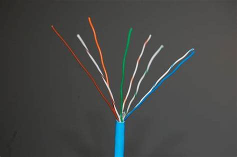 Recall that there are two standards for the colors in the rj45 specification: How to Make Your Own Cat5e Network Cable - Techgage