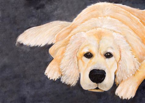 Golden Retriever Pup Painting By Anne Gregorie Fine Art America