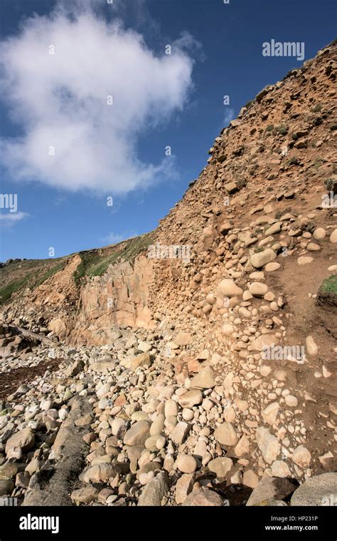 Geology Geological Raised Beach Porth Nanven Cornwall England Uk Sssi