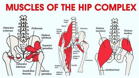 Healthy Hips We All Need Them