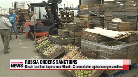 Putin Orders Food Import Ban In Retaliation Against Western Sanctions Youtube