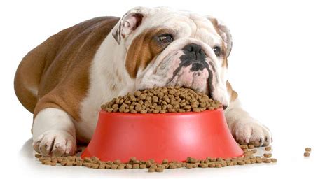 What makes a dog food, the best dog food for bulldogs? Best Dry Dog Food For English Bulldogs - Food Blog Forum