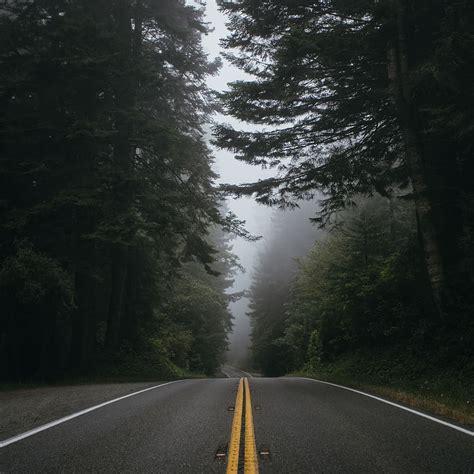 Hd Wallpaper Rainy Countryside Foggy Trees Redwoods Winding Road