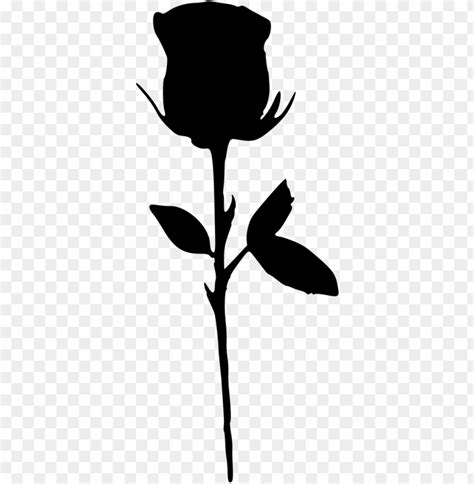 Free Download Hd Png Rose Silhouette Png Free Png Images Toppng