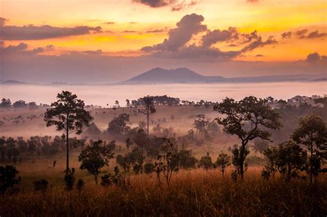 Serengati National Park Professional Kilimanjaro Adventure Pk Adventure