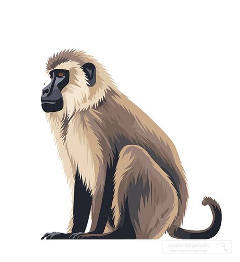 Baboon Clipart Baboon Sits On All Fours With Long Tail