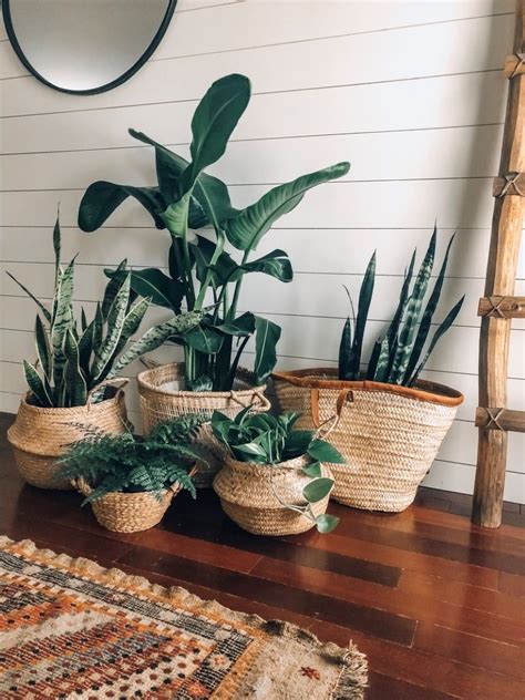 This Is How To Arrange Indoor Plants 6 Fun Ideas Fashion Blog