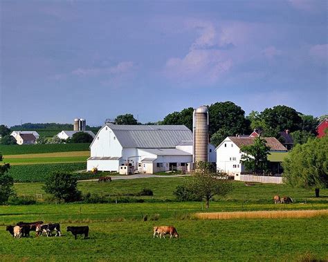 Amish Farm Lancaster Pa Farms And Old Tractors Pinterest