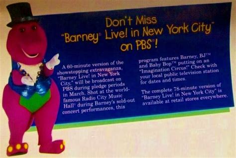 Pin By Scott Austin Loller On Barney Public Television Barney Childhood