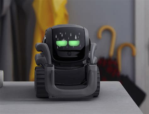 60 Photos New Vector Robot By Anki Subscription