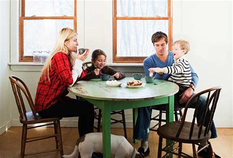 It is a comprehensive pest control company that has built up a full range of treatment services. Orkin - Attic Insulation