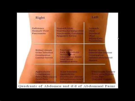 The pattern of your pain is compatible possibly with a gall bladder problem but it could be coming from any other gi structure. Differential diagnosis of abdominal pain according to ...