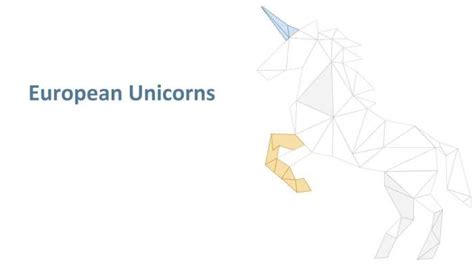 Europe Largest Unicorn Startup