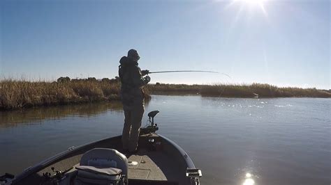 Mid November Stripers California Delta Striped Bass Fishing YouTube
