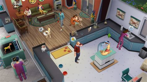 The Sims 4 Cats And Dogs Vet Clinic Screen
