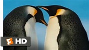 March of the Penguins Official Trailer #1 - (2005) HD - YouTube