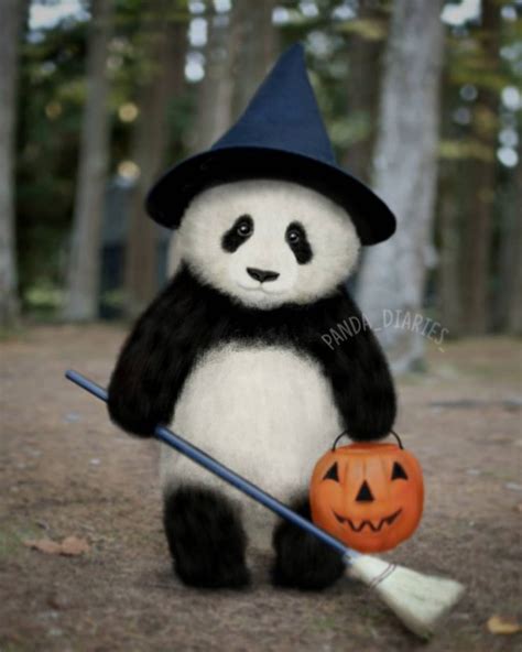 484 Best Panda Bears Images On Pinterest Panda Panda Bears And Pandas