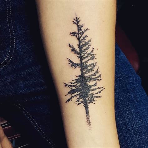 Douglas Fir Tree Tattoo But I Would Add Roots To The Bottom Outlining