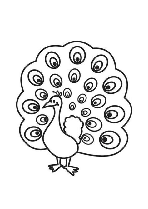 Free printable peacock coloring pages. A Cute Peacock With Beautiful Eyes Plumage Coloring Page ...