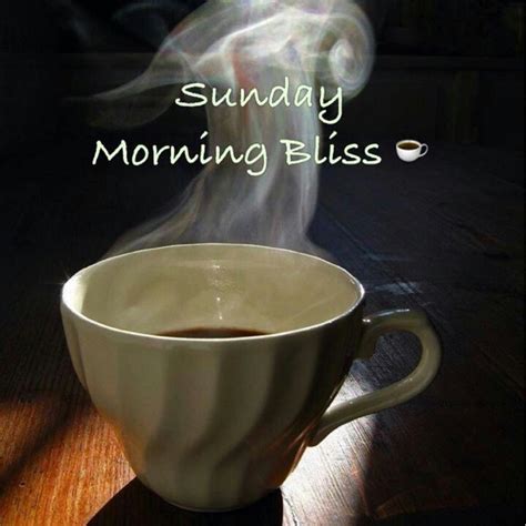 Sunday Morning Bliss Pictures Photos And Images For