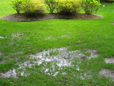 We aren't aware of any issues in this area. Common Leach Field Problems in Spring | West Coast Sanitation