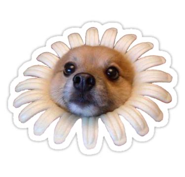 Doggo Stickers: Flower Doggo Sticker by Elisecv | Tumblr stickers, Dog stickers, Meme stickers