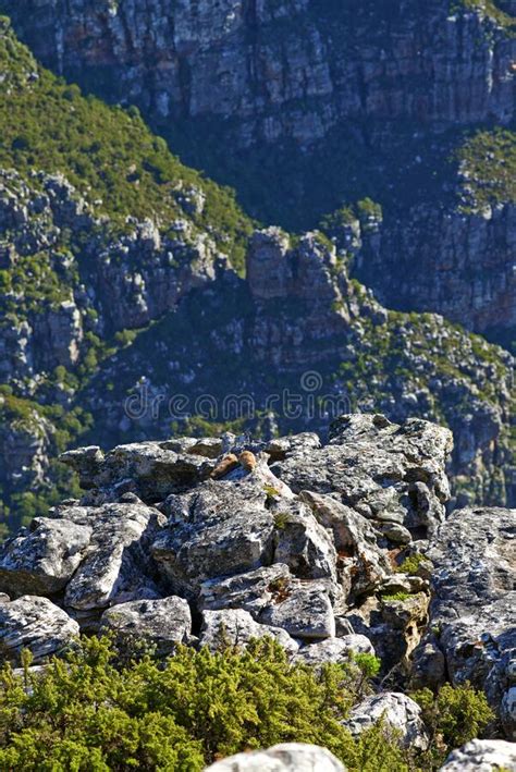 A Rocky Mountainside Landscape Of Table Mountain National Park Cape
