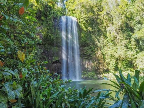 22 Best Australian Waterfalls To See In 2024